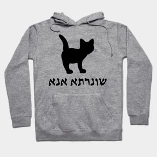 I'm A Cat (Aramaic, Feminine) Hoodie